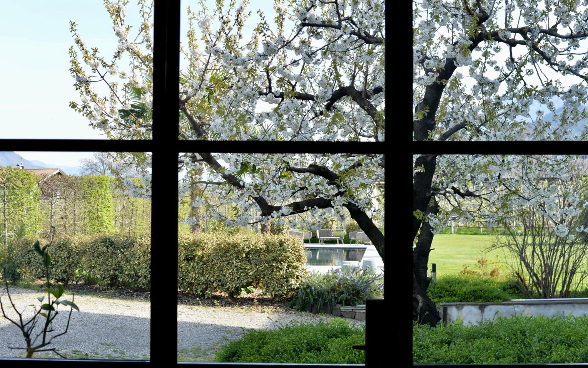 Haus Wiesenstein Lana Exteriör bild