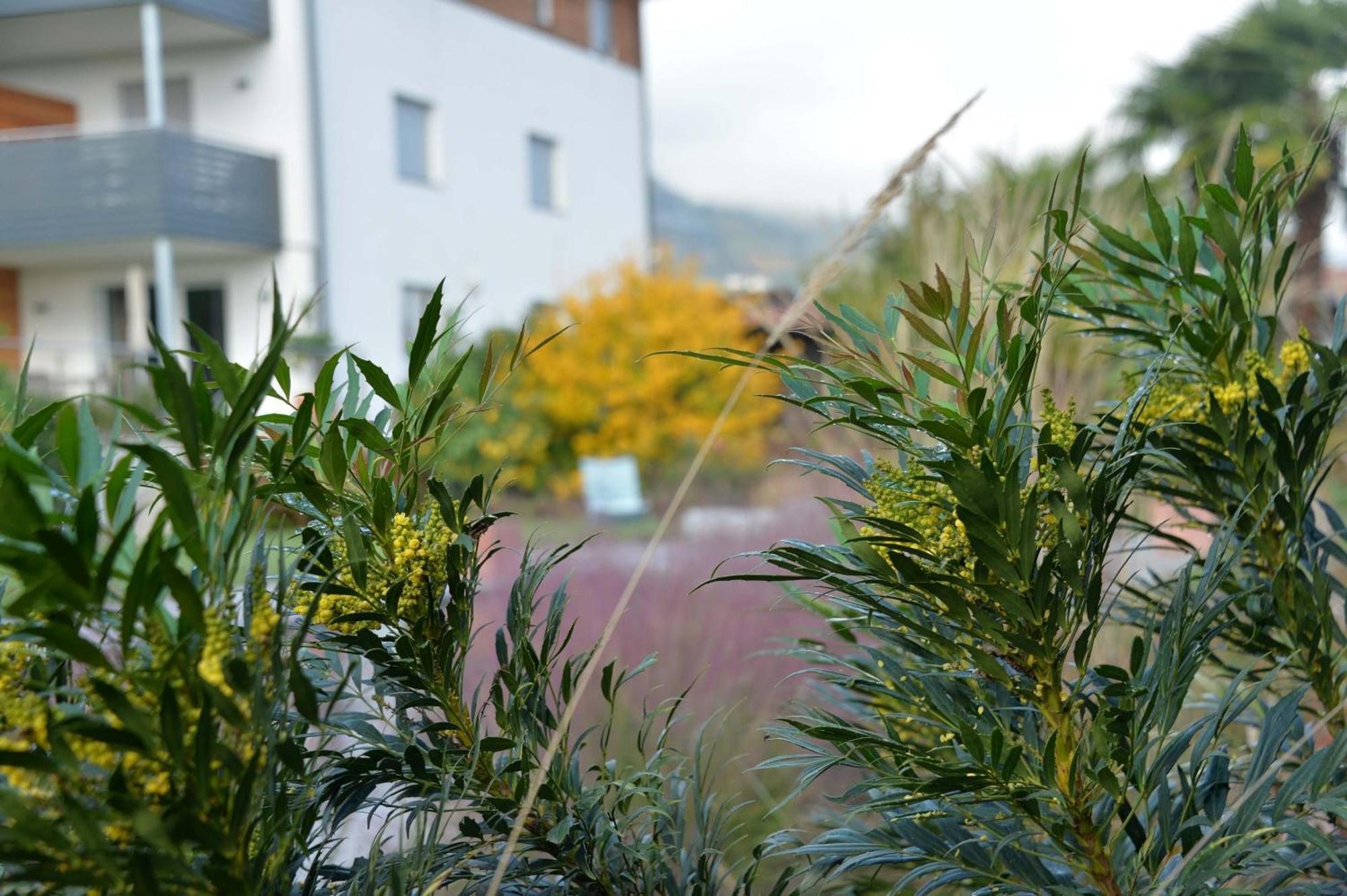 Haus Wiesenstein Lana Exteriör bild